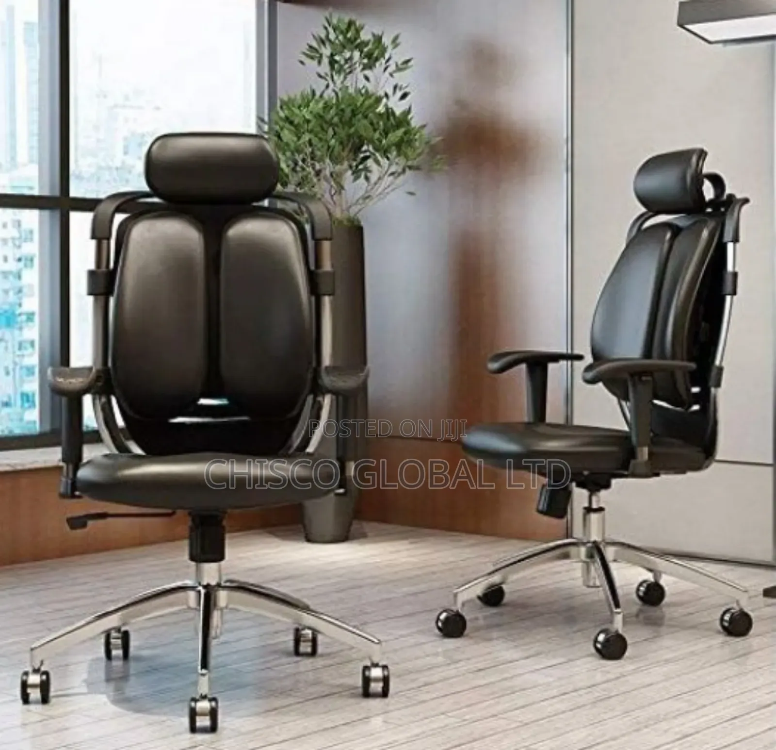 Office Chair (Orthopedic)
