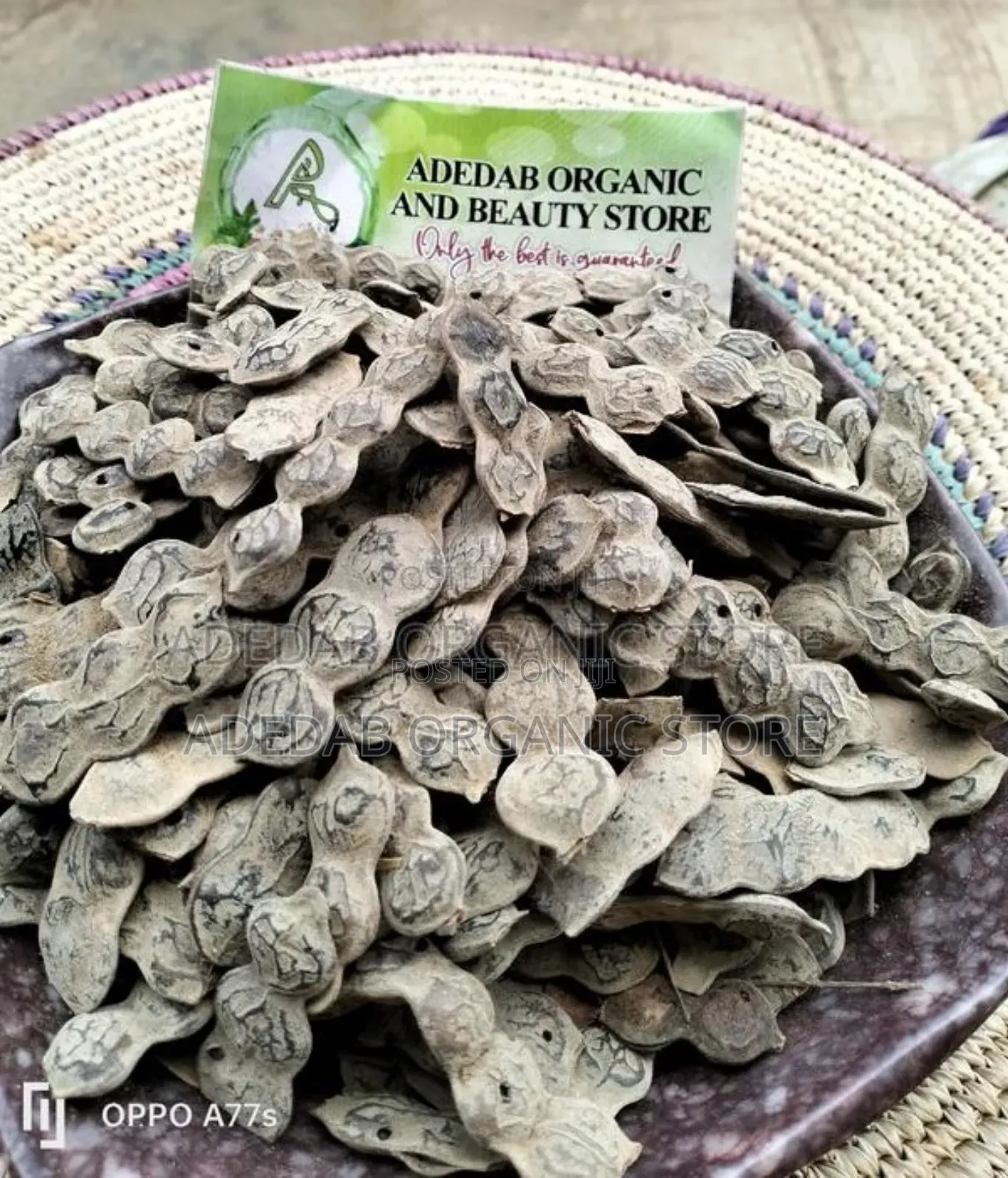 Acacia Seed