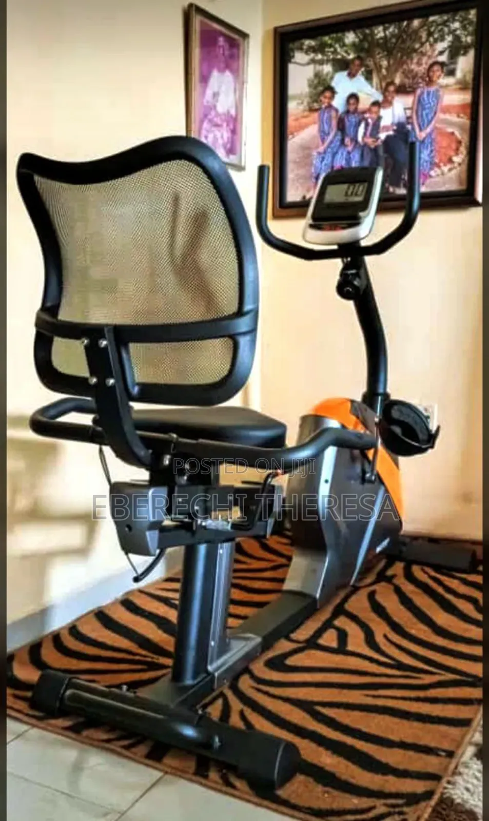 Personal Use Recumbent Bike