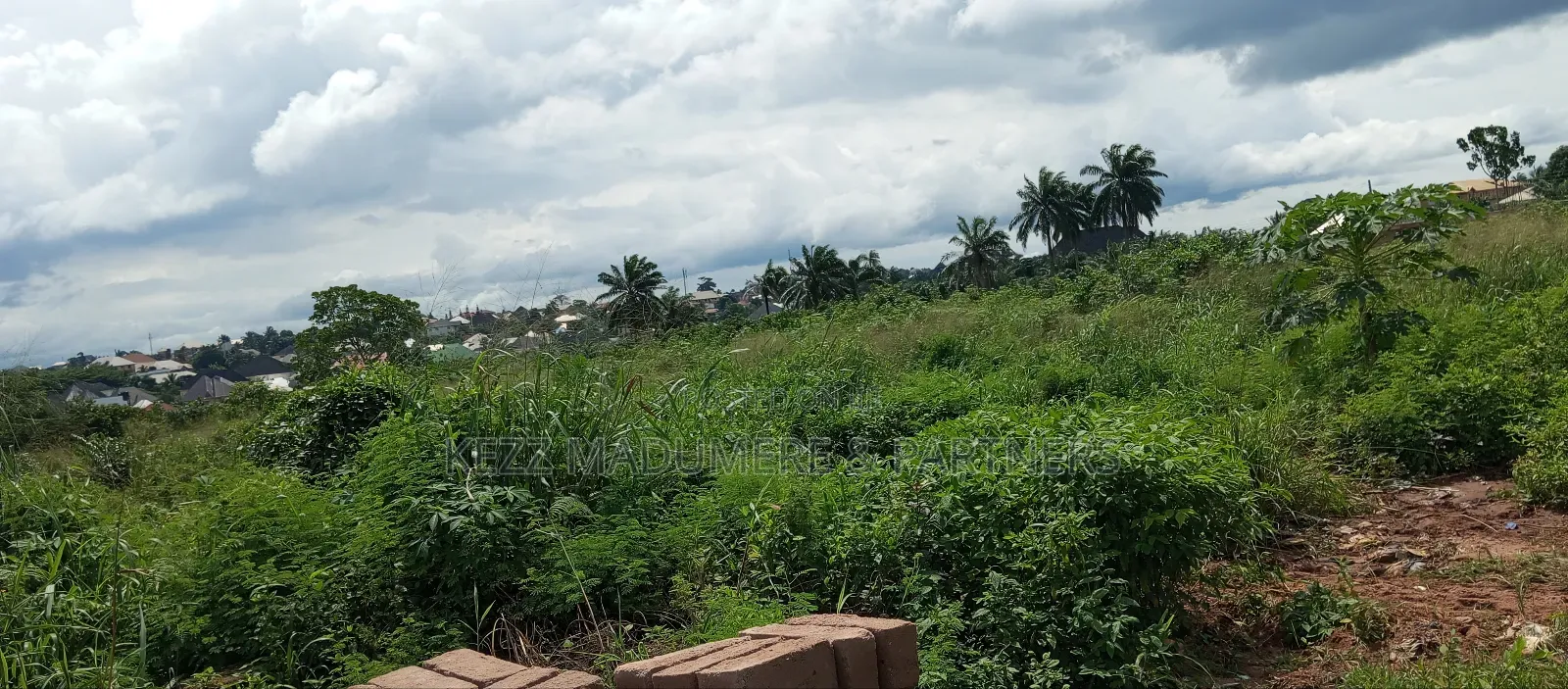 For Sale : 4 Plots at New Govt House