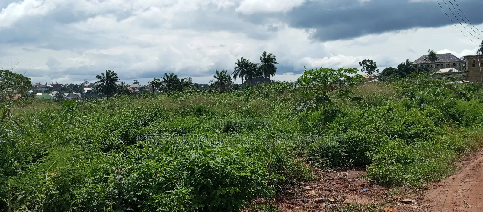 For Sale : 4 Plots at New Govt House
