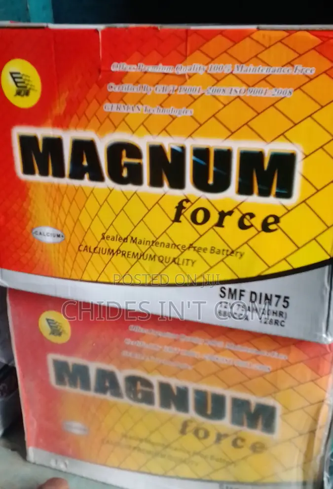 75ah Magnum Battery