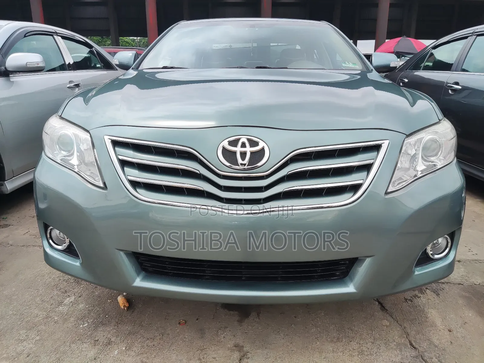 Toyota Camry XLE V6 4dr Sedan (3.5L 6cyl 6AM) 2009 Green