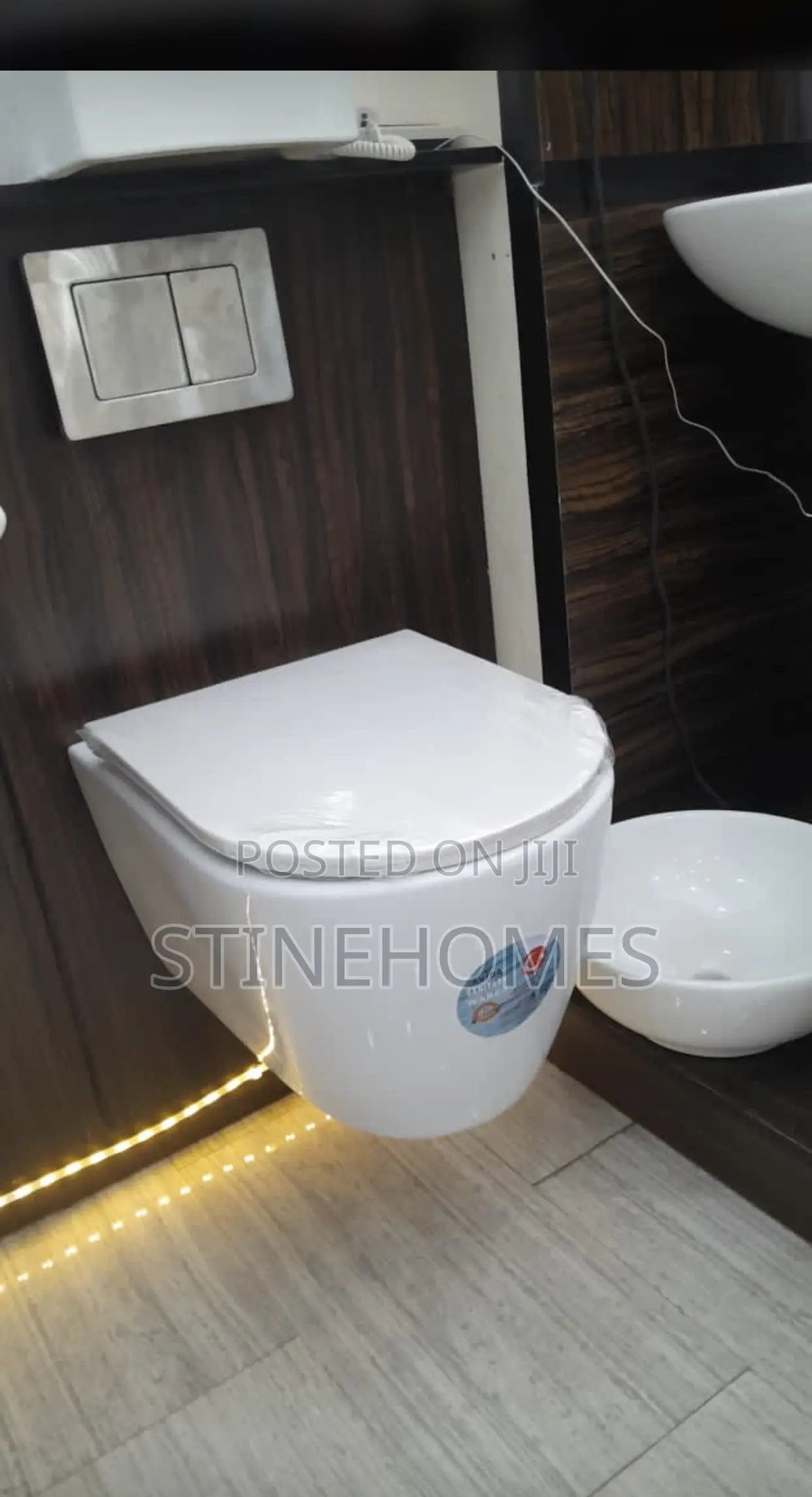 Conceal/ Wall Hung Wc