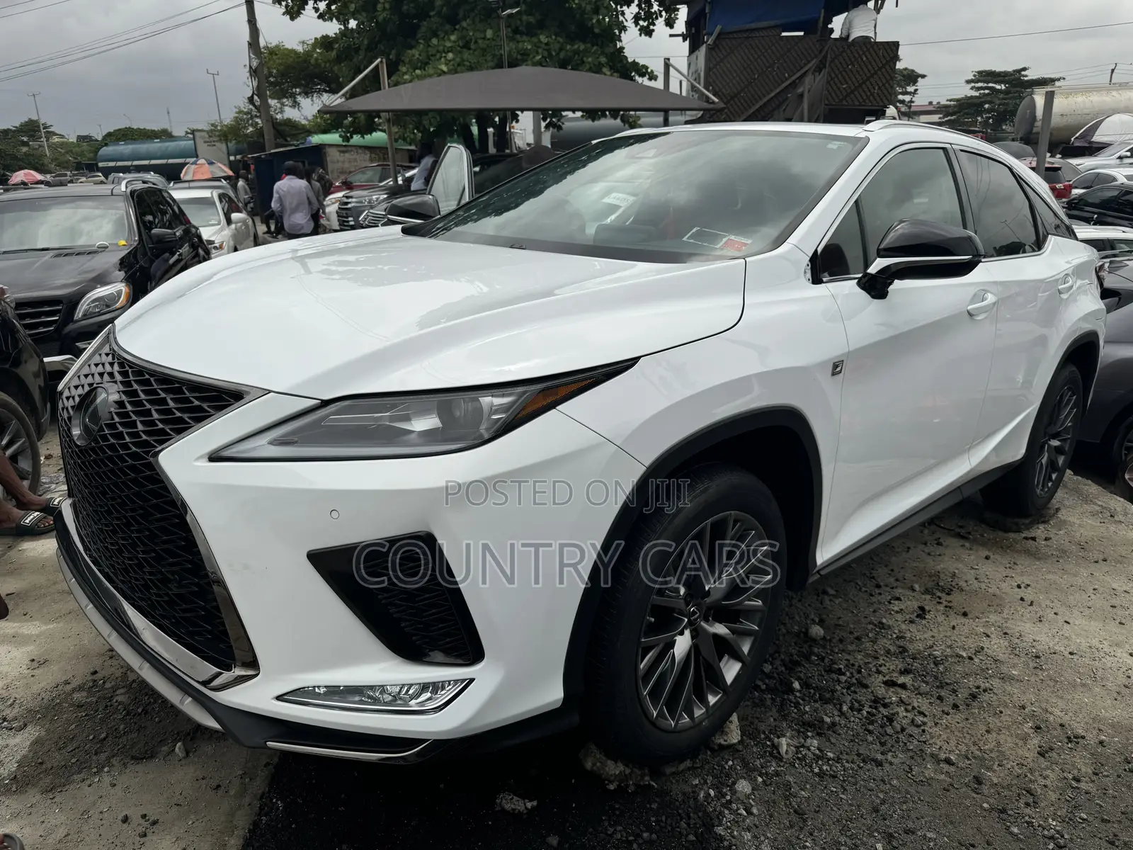 Lexus RX 2022 White