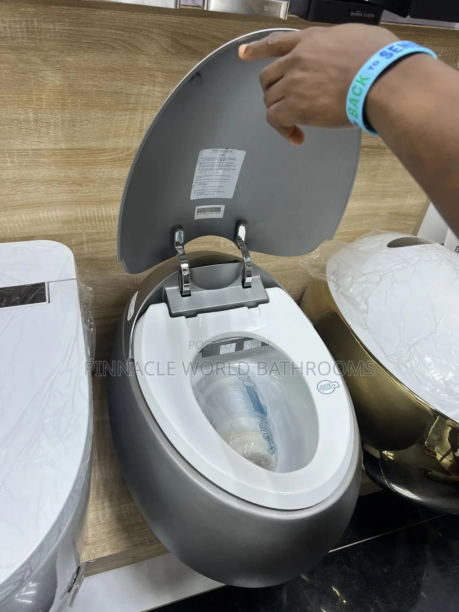 Gray England Egg Smart WC With Pan Connector
