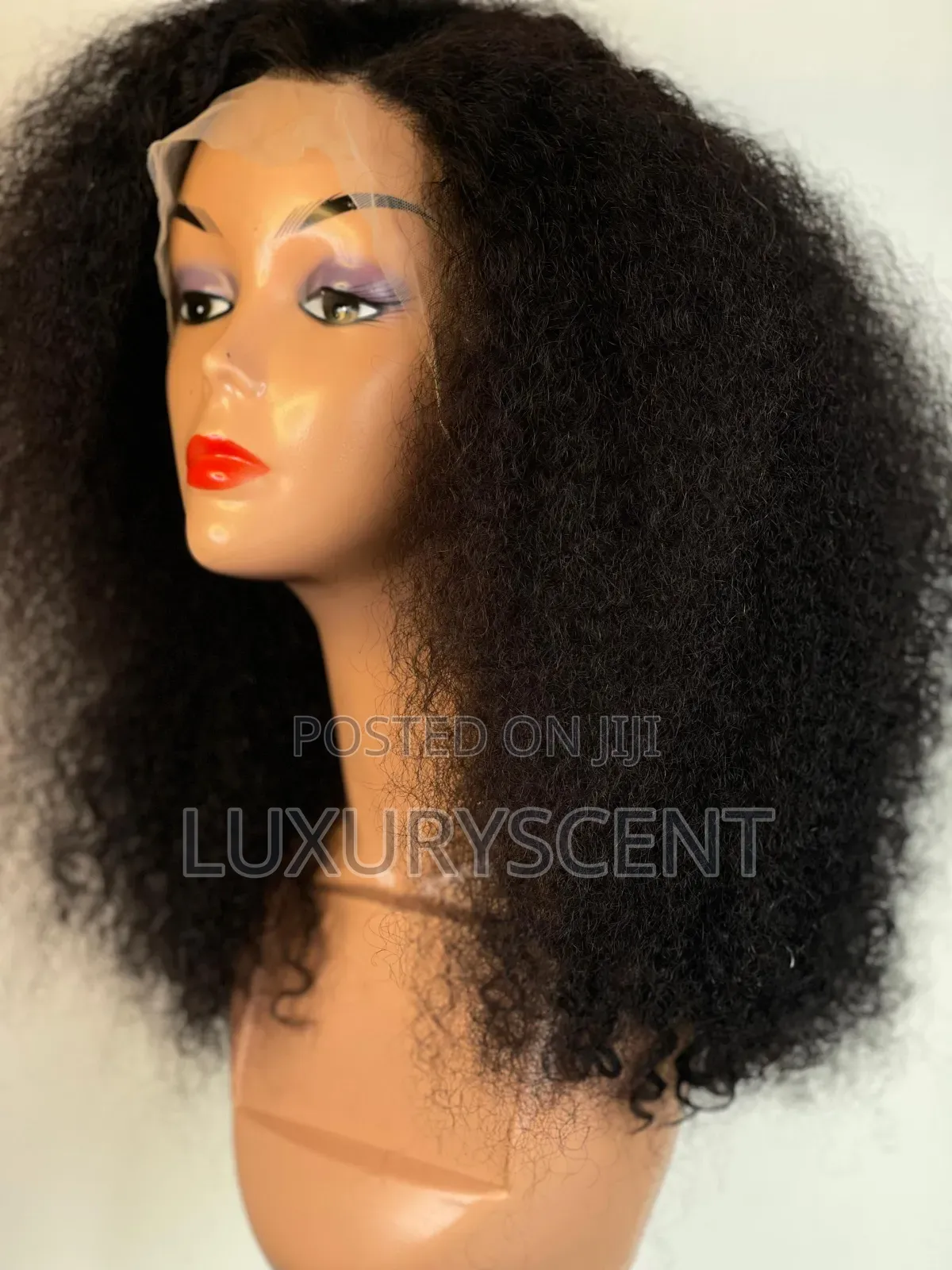 Burmese Curl Full Frontal 16"