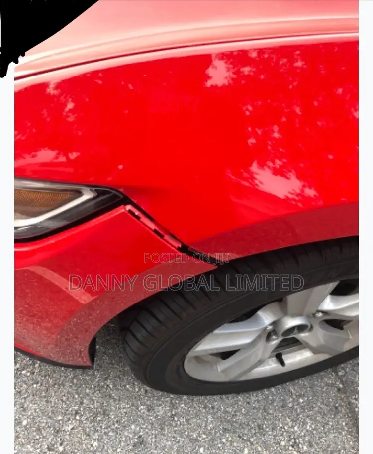 Original PVC Material Car Bumper and Fender Clips
