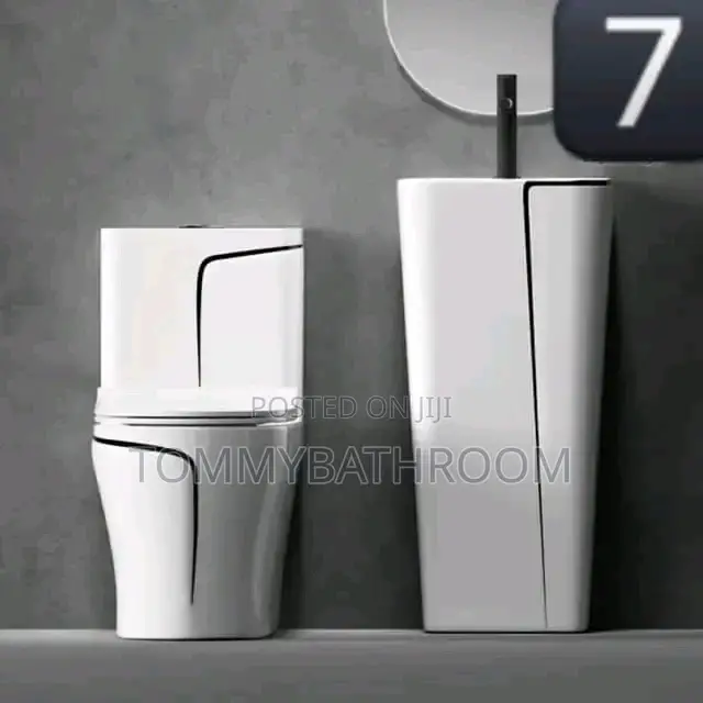 White and Black WC With Standing Basin