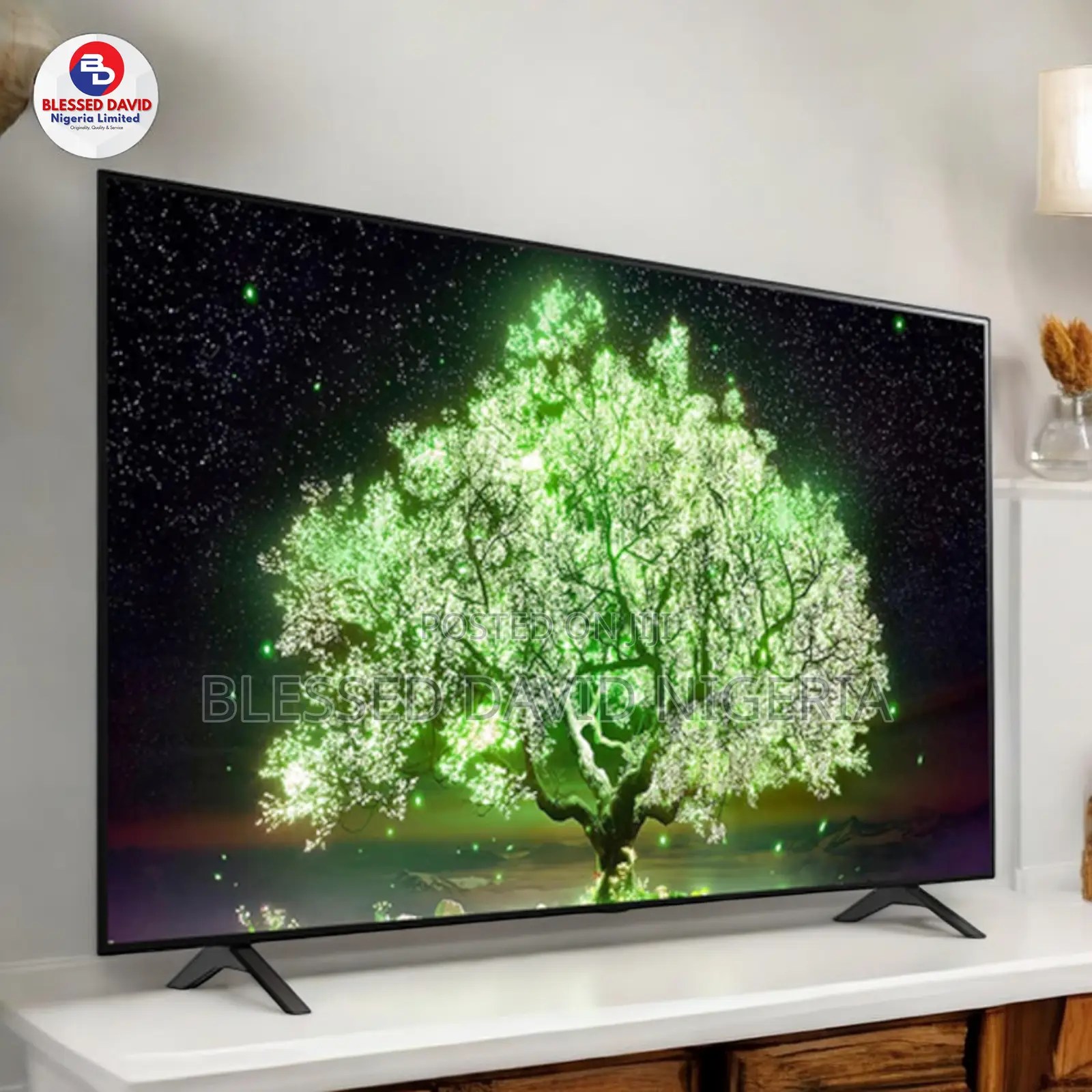 LG 55 Inch Oled A1 Series Uhd Smart TV