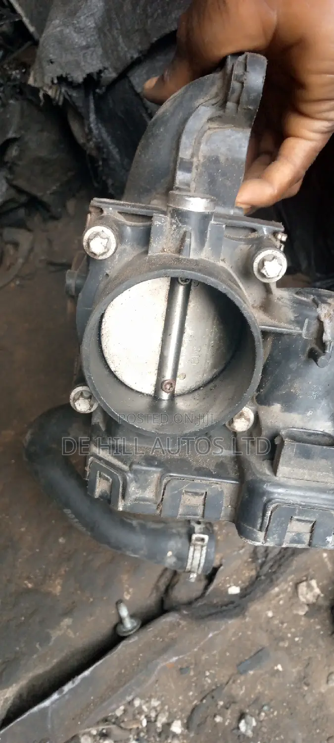 Turtle Body/Epc Volkswagen Routan V6 3.8L