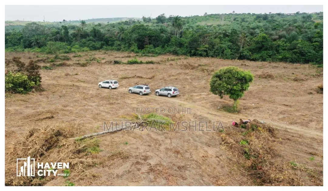 Buildable and Dry Land