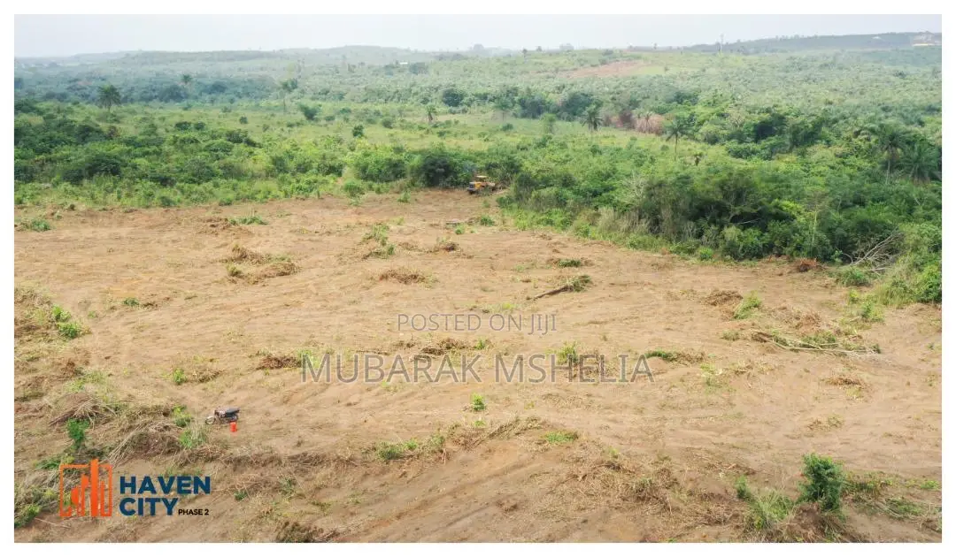Buildable and Dry Land