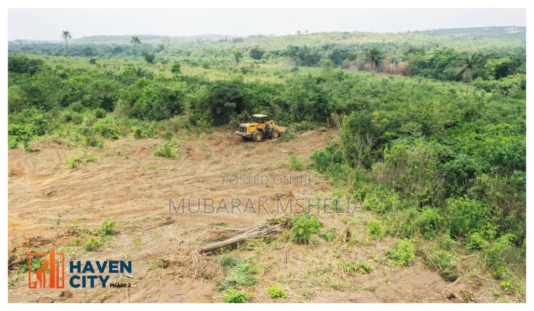 Buildable and Dry Land