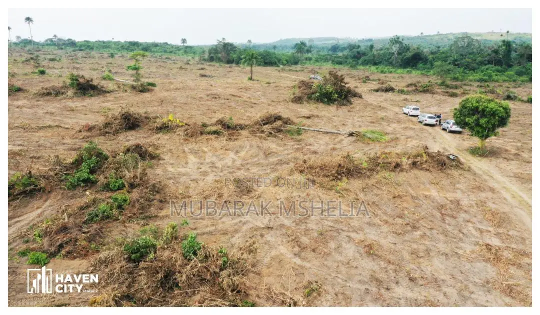 Buildable and Dry Land