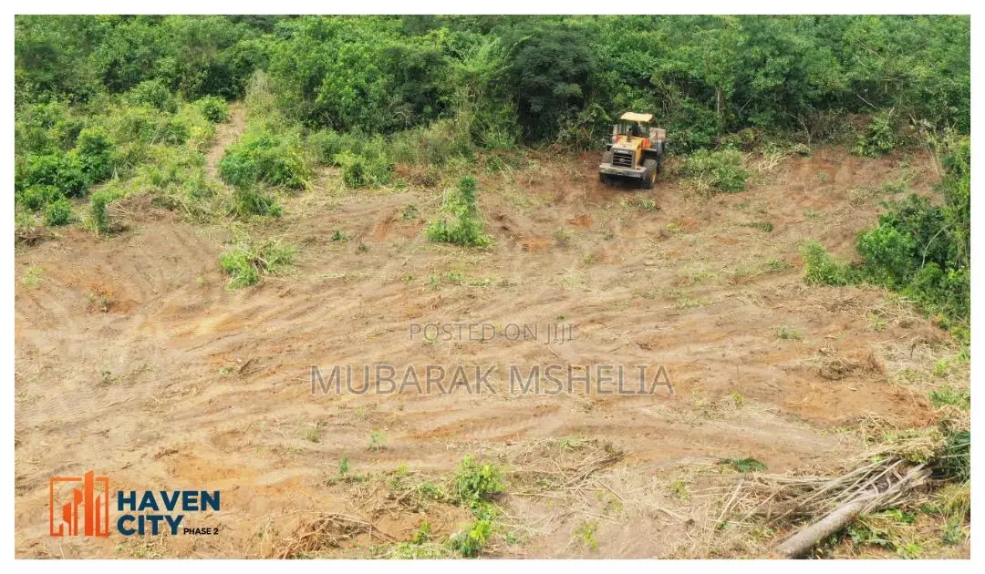 Buildable and Dry Land