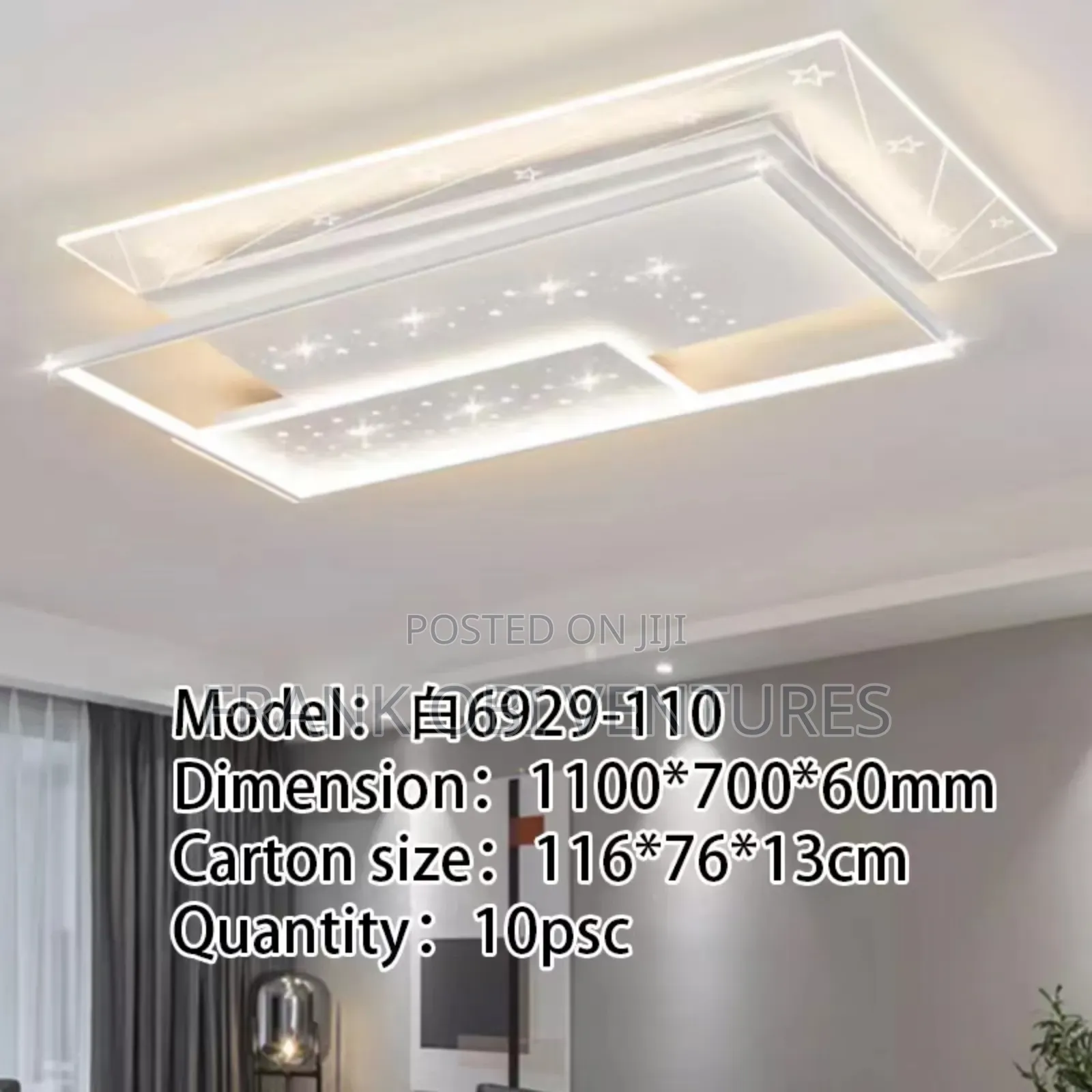 Ceiling Fittings ( Flush Lights)