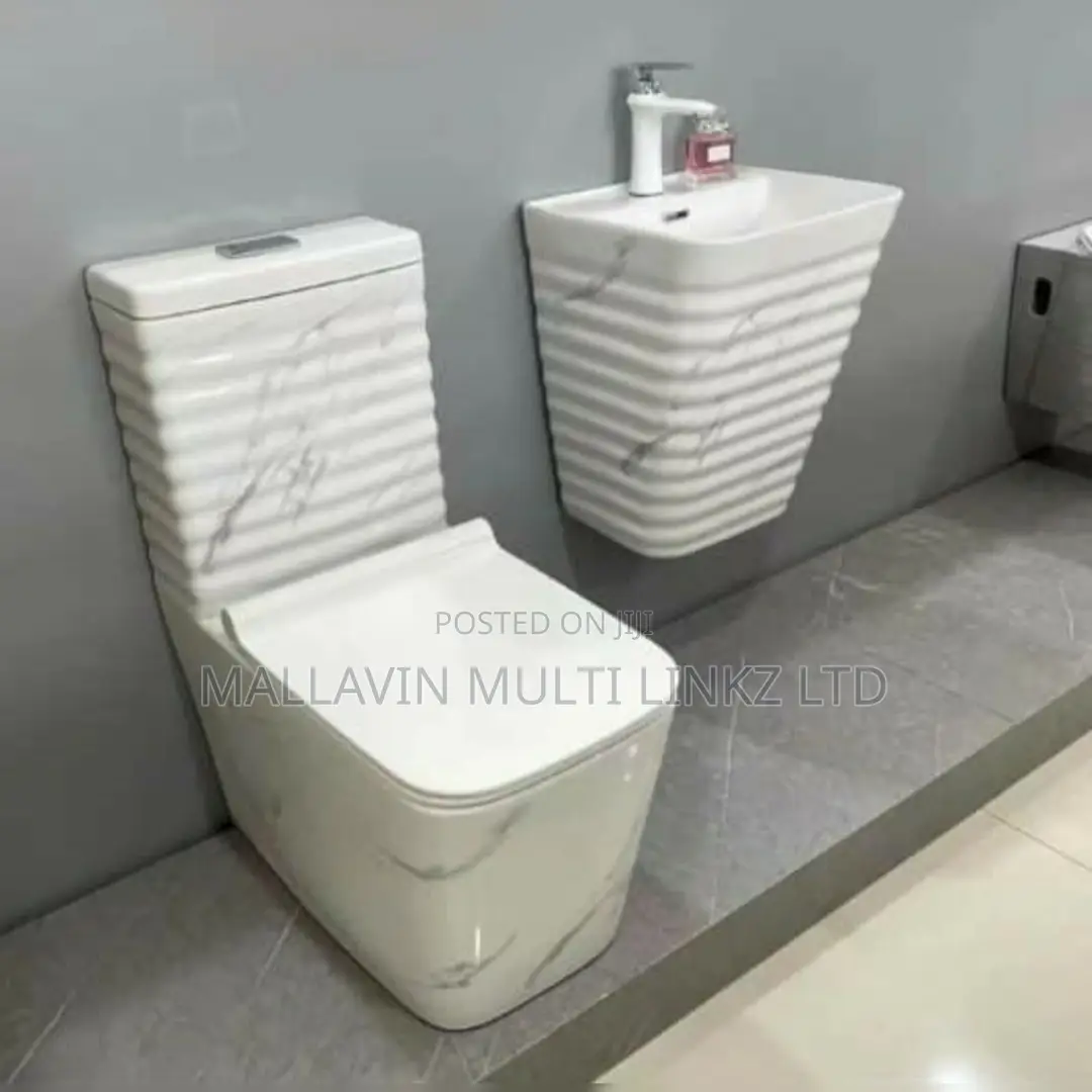High Executive WC and Wall Hung Basin