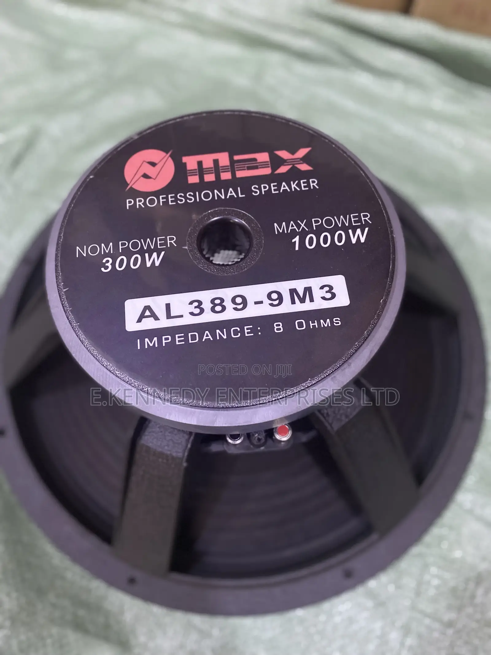 Omax Professional 15 Inches Naked Speaker