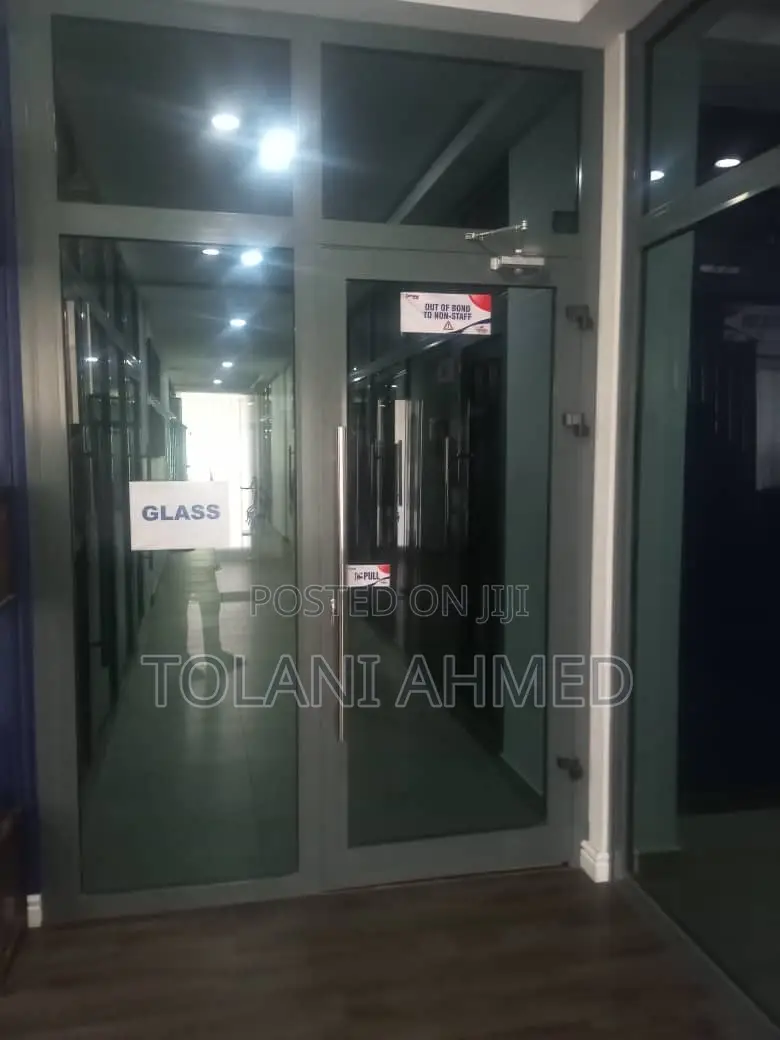 Aluminum Swing Door