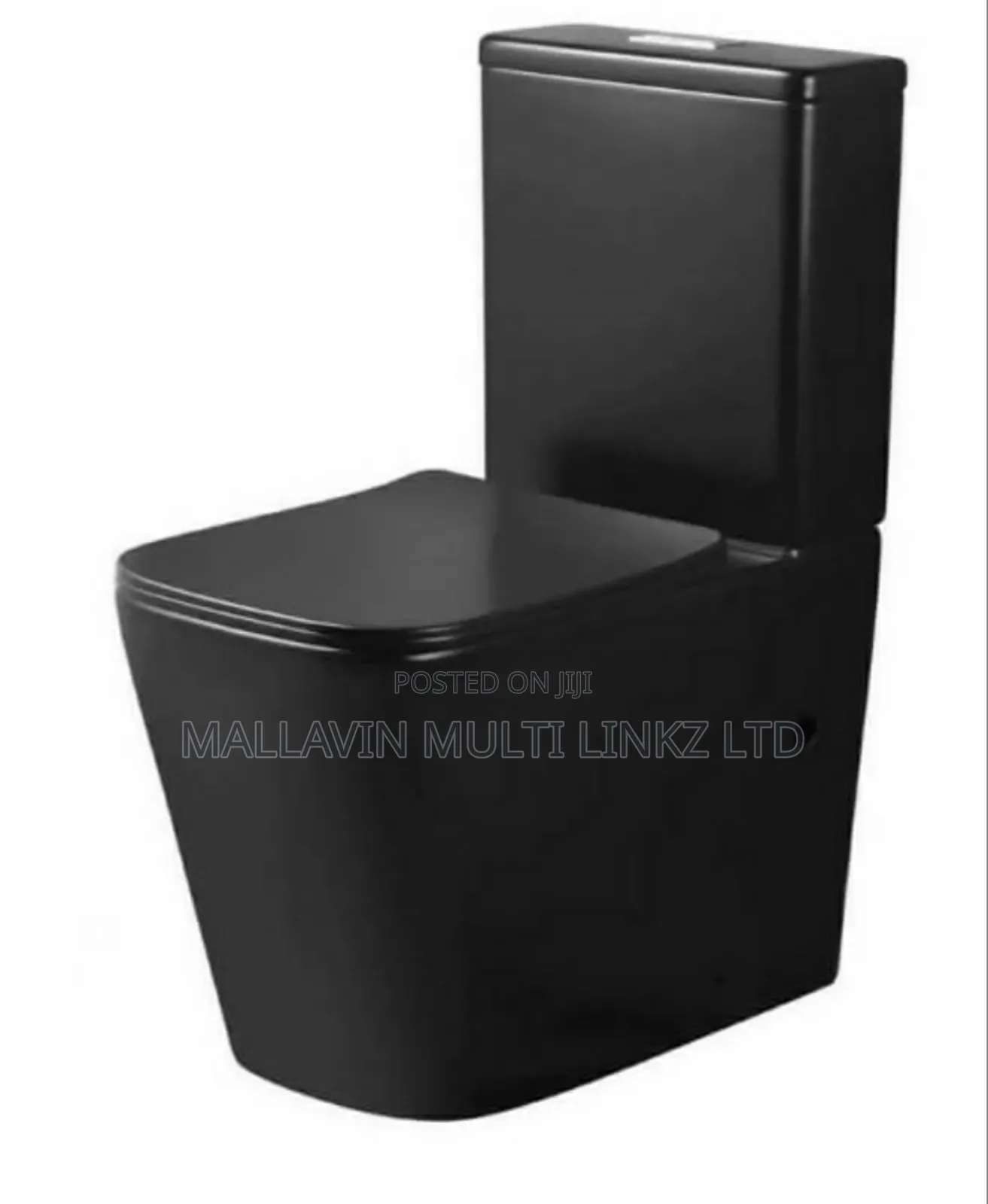 Executive Black Toilet Seats (Wc)