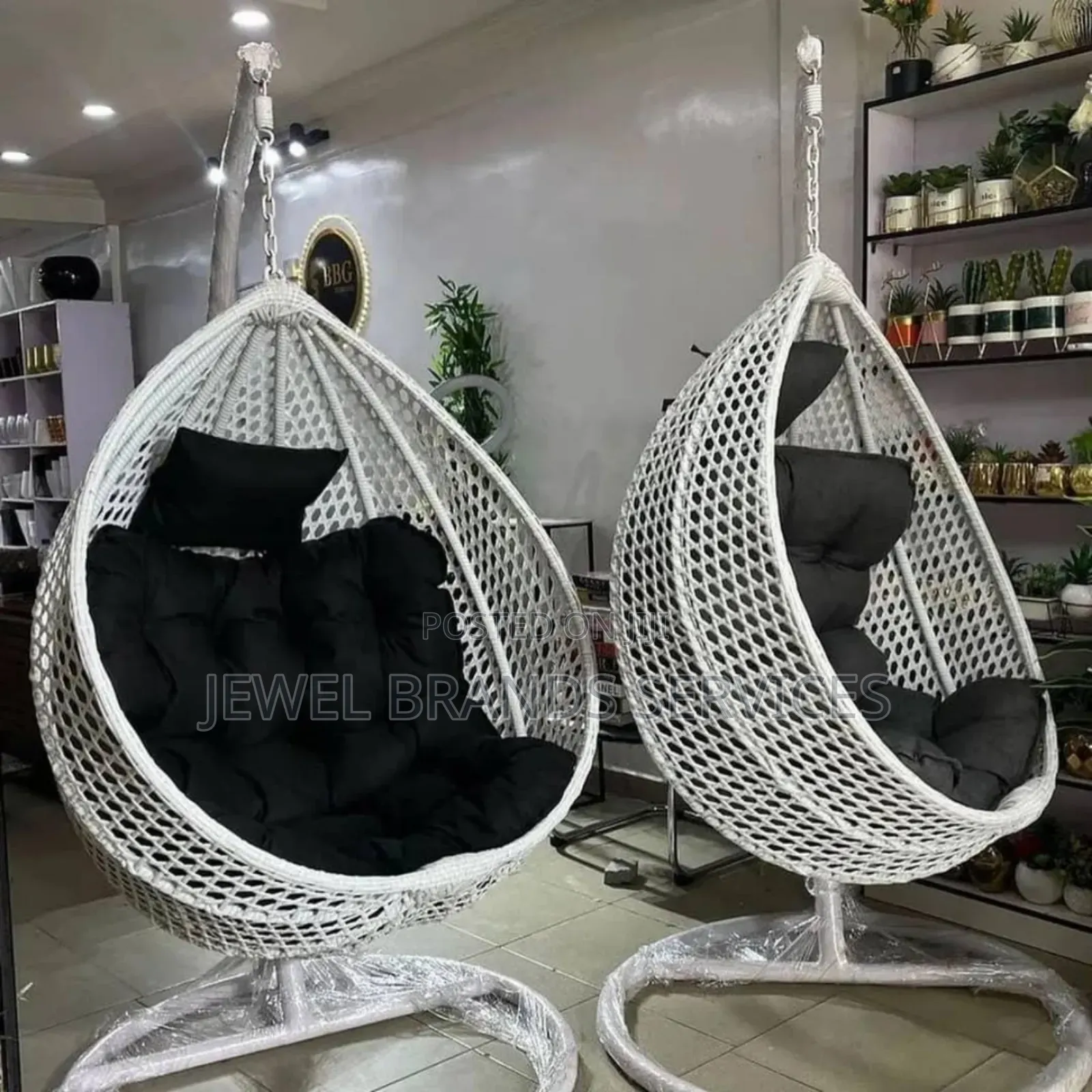 Basket Swing/Hammock