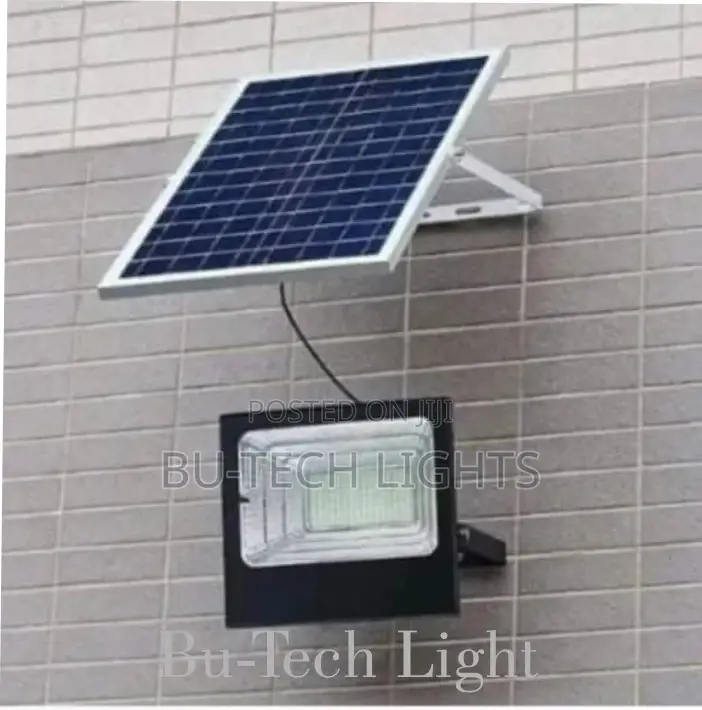 Solar Floodlight With Panel