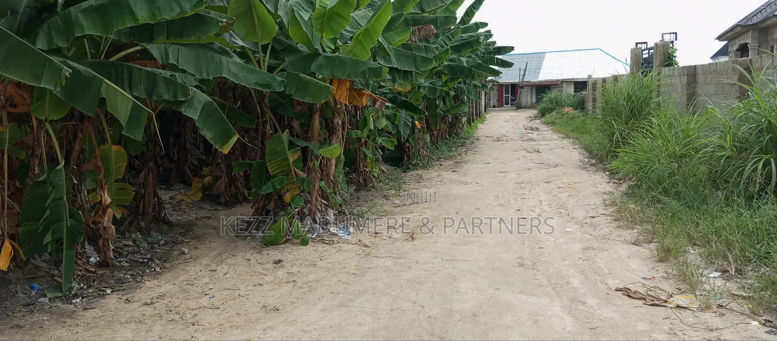 For Sale : 2 Plots at P