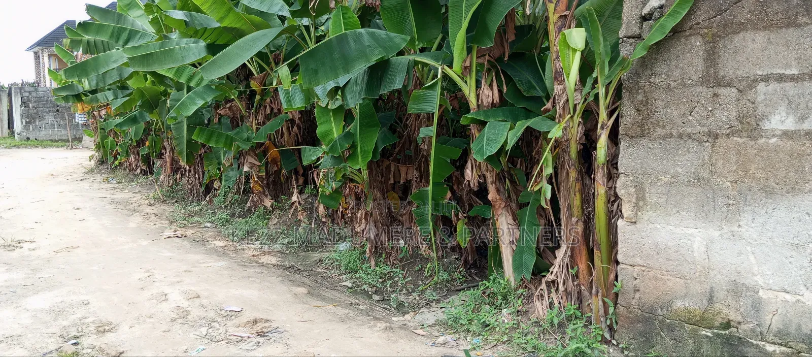 For Sale : 2 Plots at P