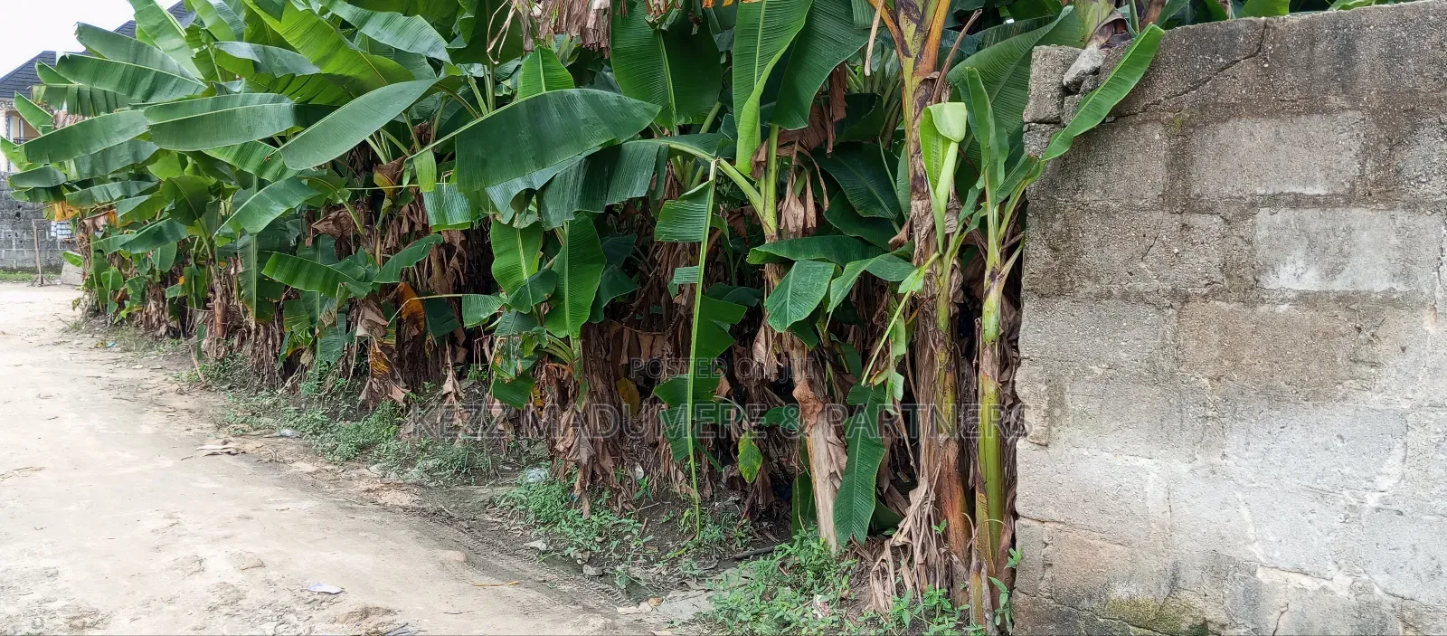 For Sale : 2 Plots at P