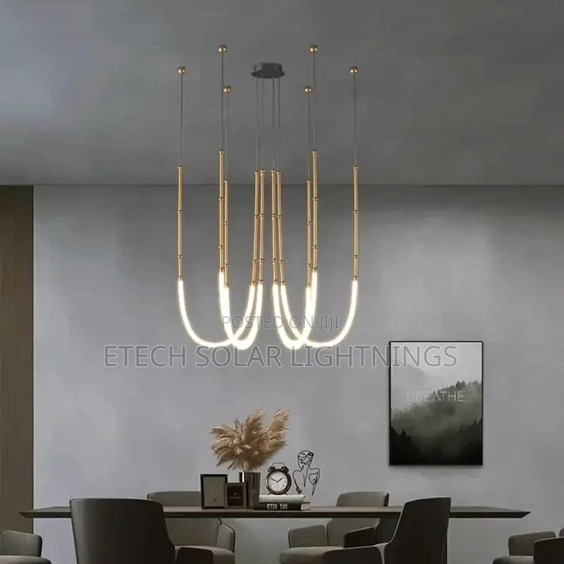 Nordic Designer Led Dropping Chandelier Light Fixture