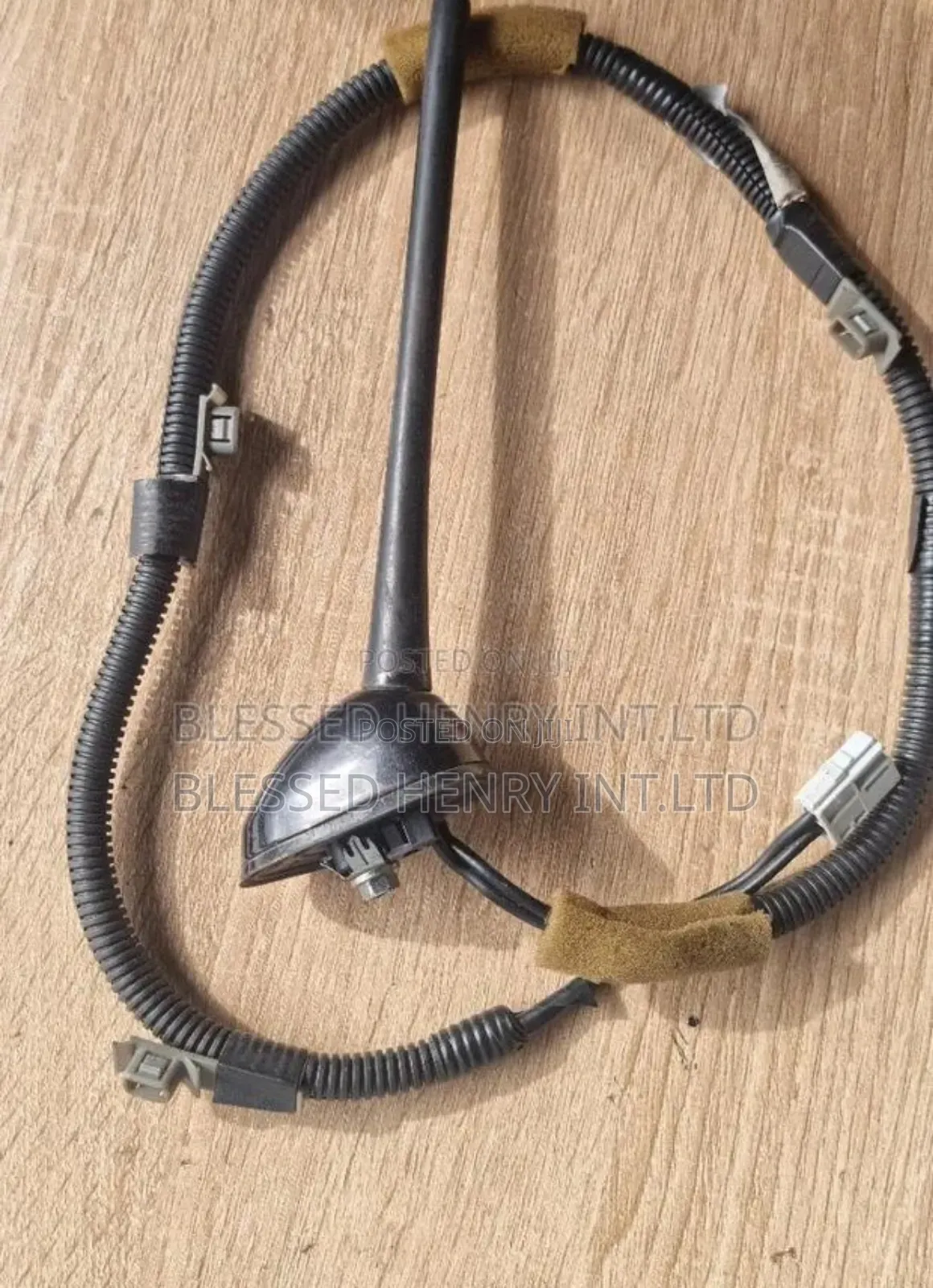 Antenna/Aerial