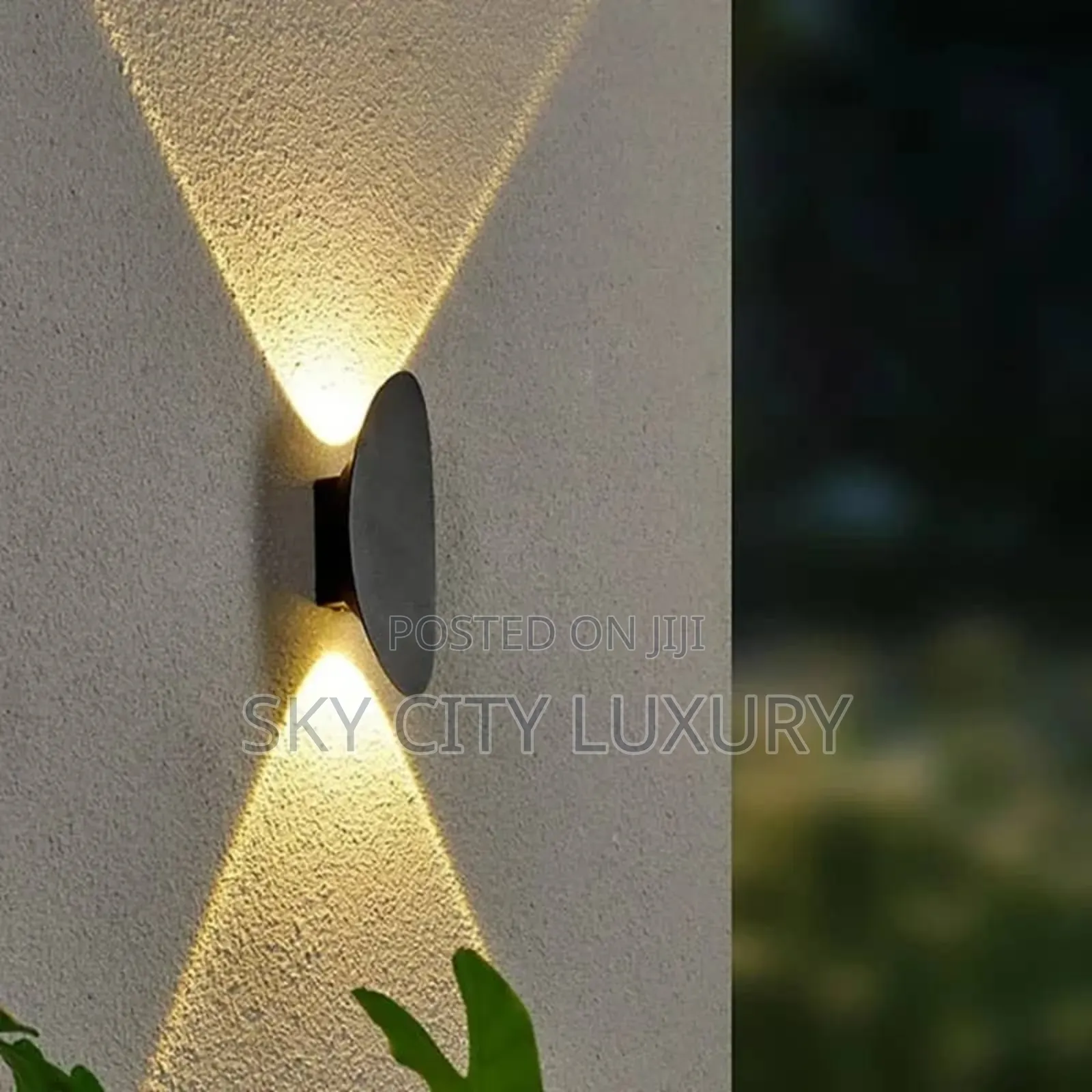 Led Muse Wall Light
