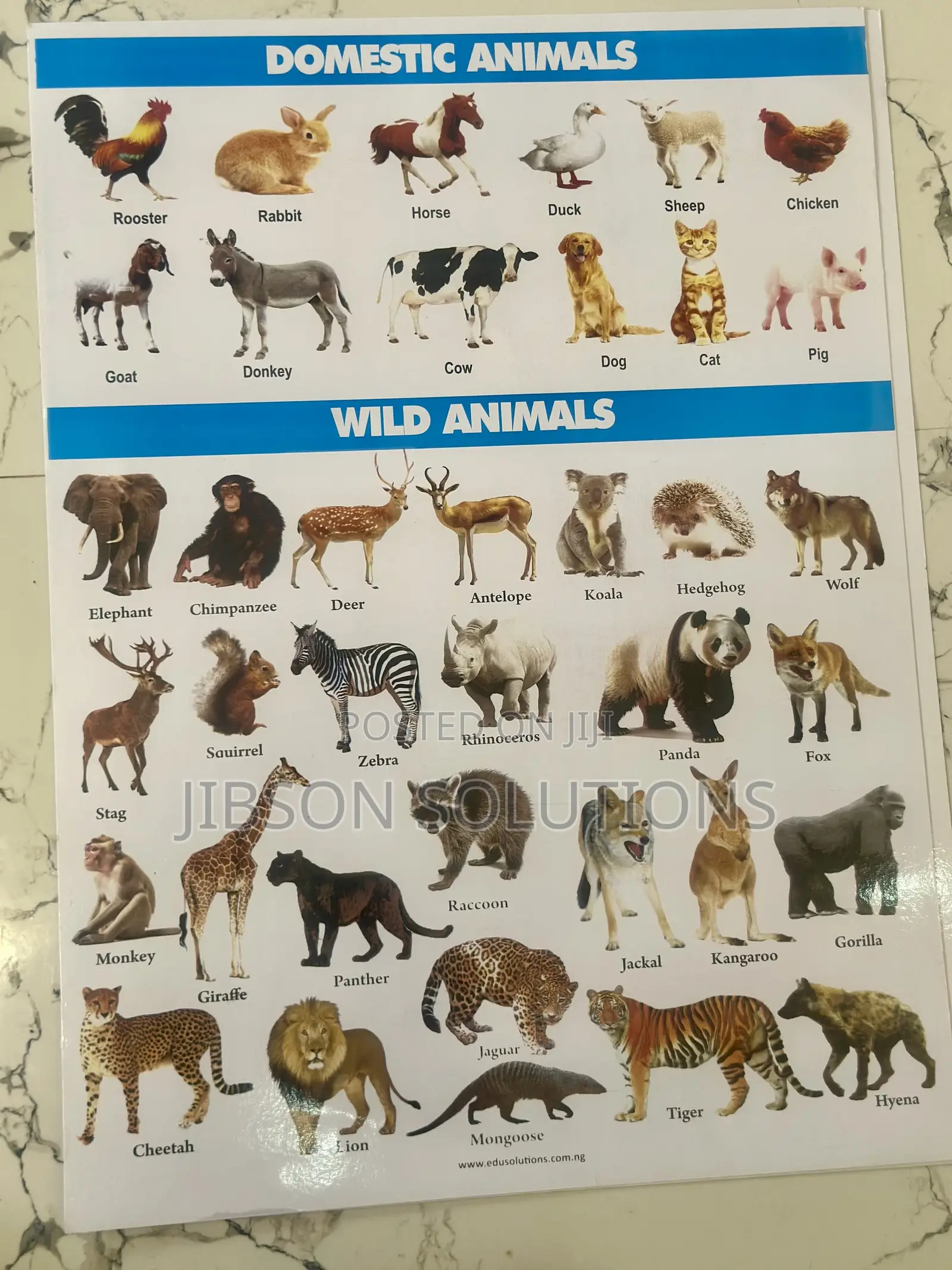 Laminated Instructional Charts