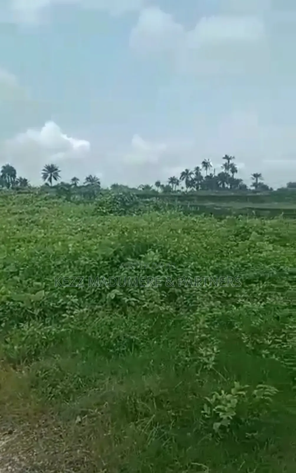 For Sale : 20 Plots on Eastwest Rd Near Jephthah College