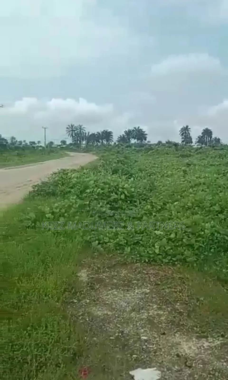 For Sale : 20 Plots on Eastwest Rd Near Jephthah College