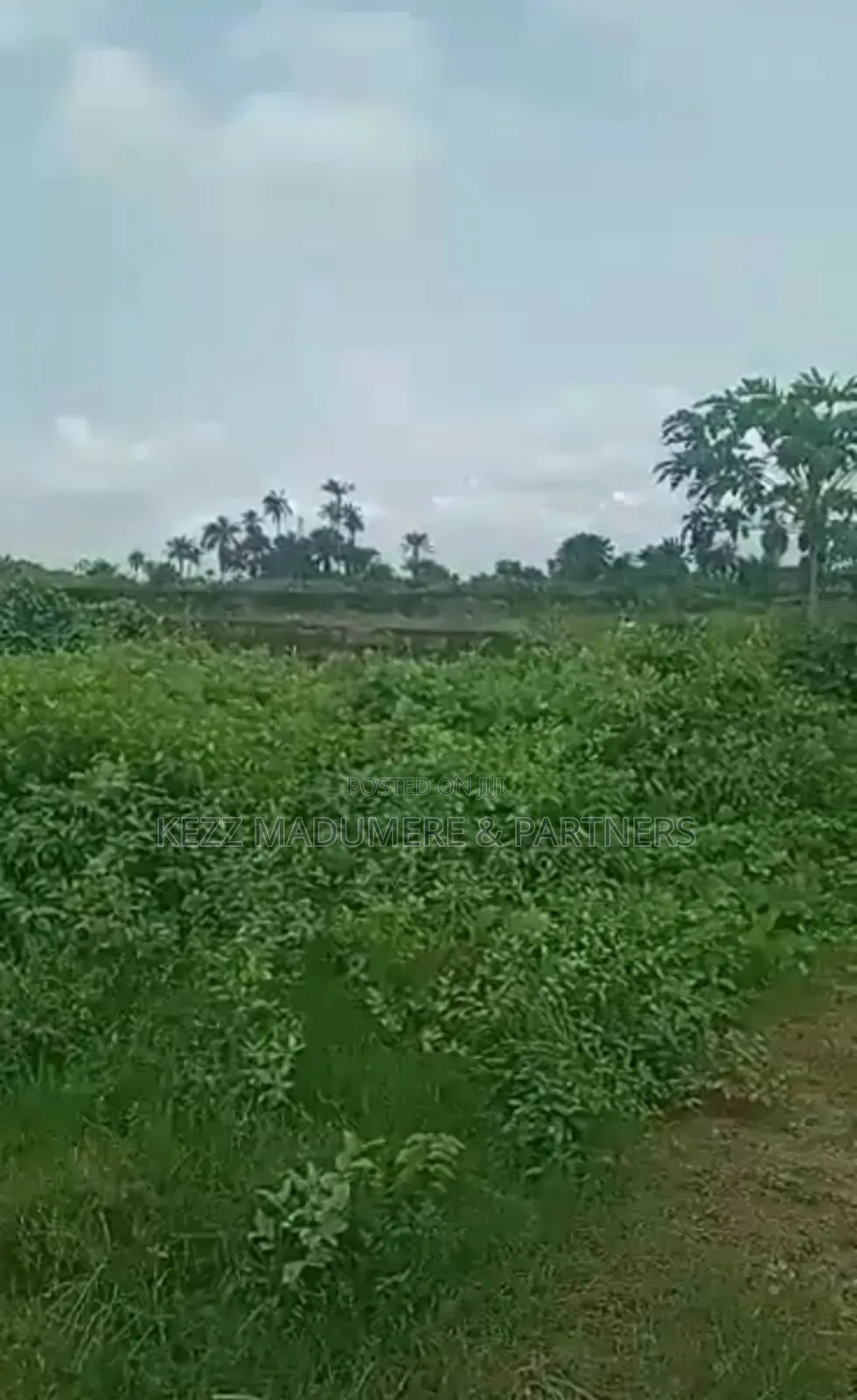 For Sale : 20 Plots on Eastwest Rd Near Jephthah College
