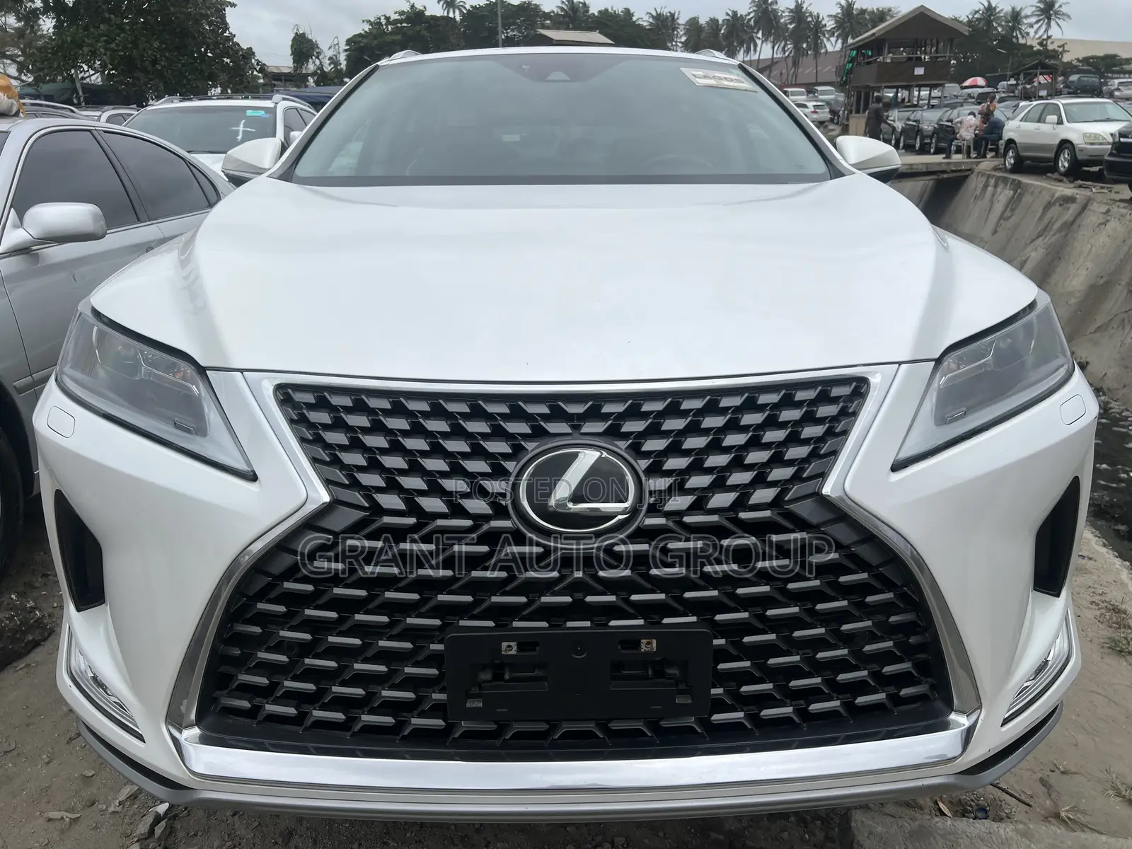 Lexus RX 2022 White