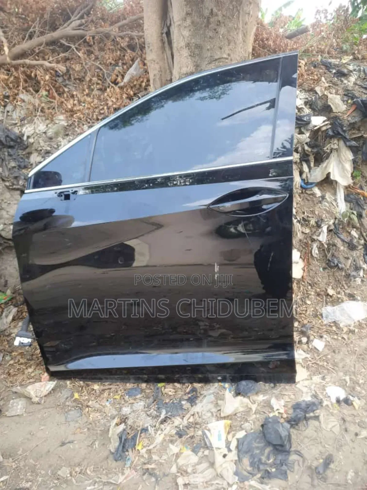 Door for Rx350 2019 Model