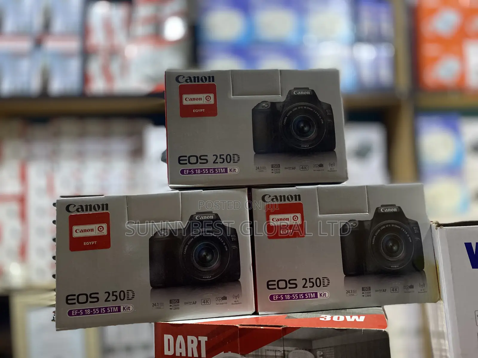 Canon 250d With 18-55mm STM