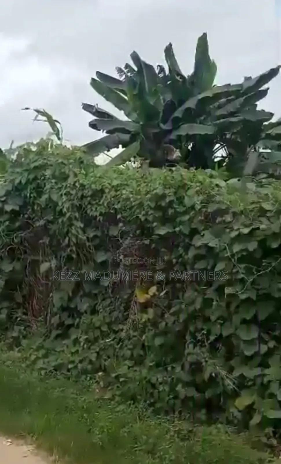 For Sale : 100% Dried 11⁄3 Plots at Rukpokwu ,Ph