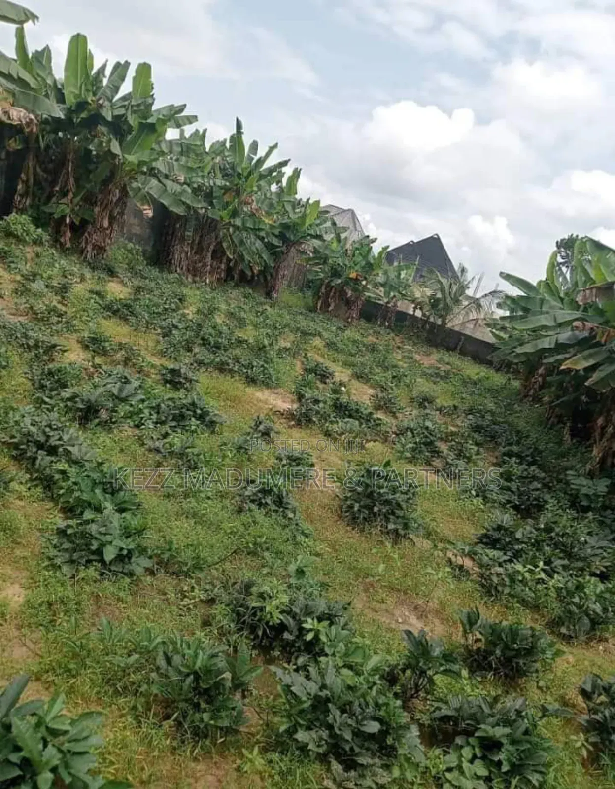 For Sale : 100% Dried 11⁄3 Plots at Rukpokwu ,Ph