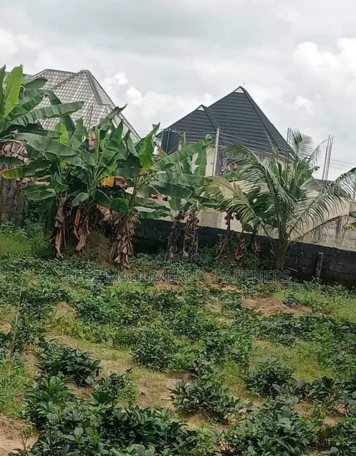 For Sale : 100% Dried 11⁄3 Plots at Rukpokwu ,Ph