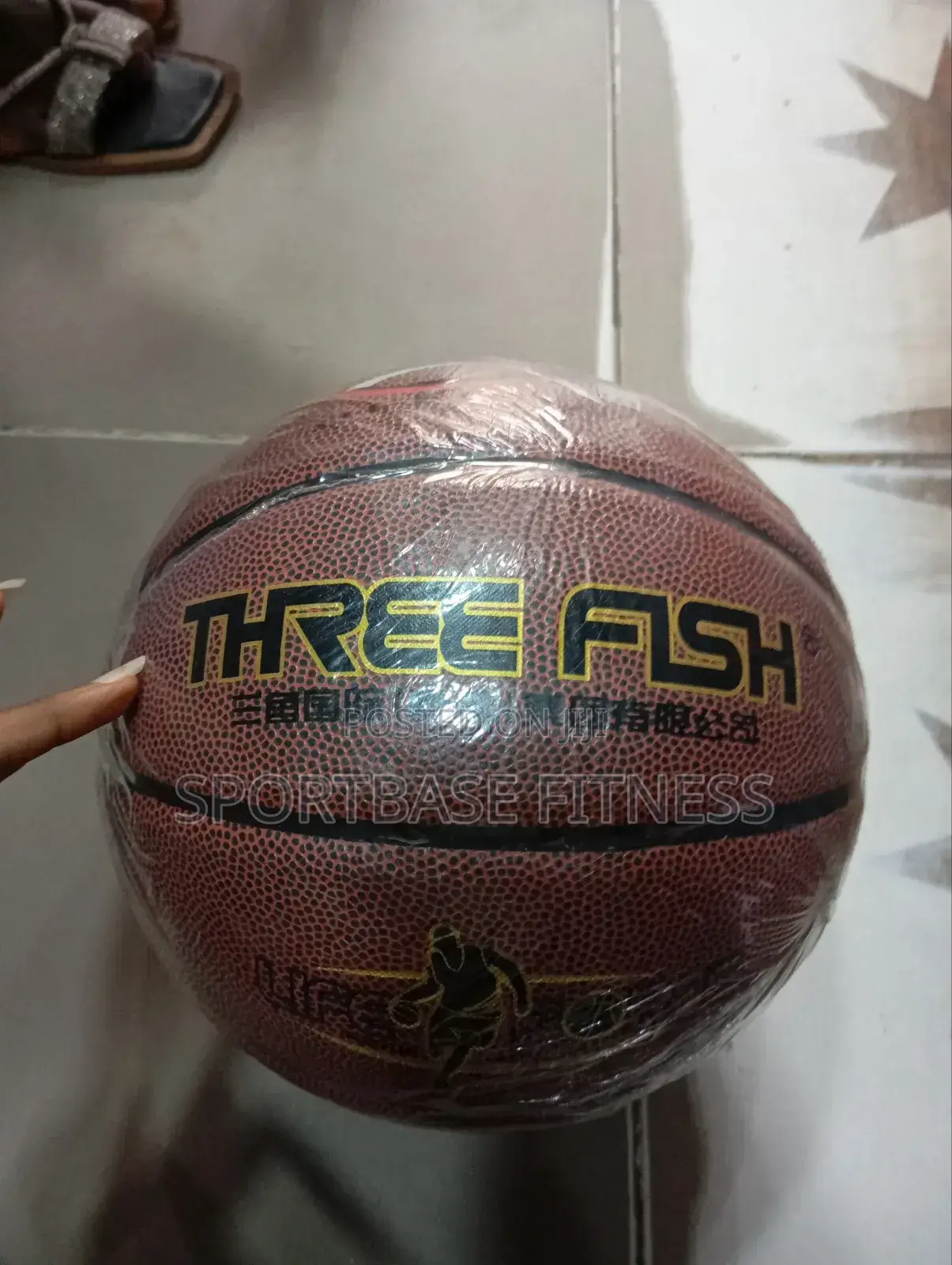 Three Fish Basketball