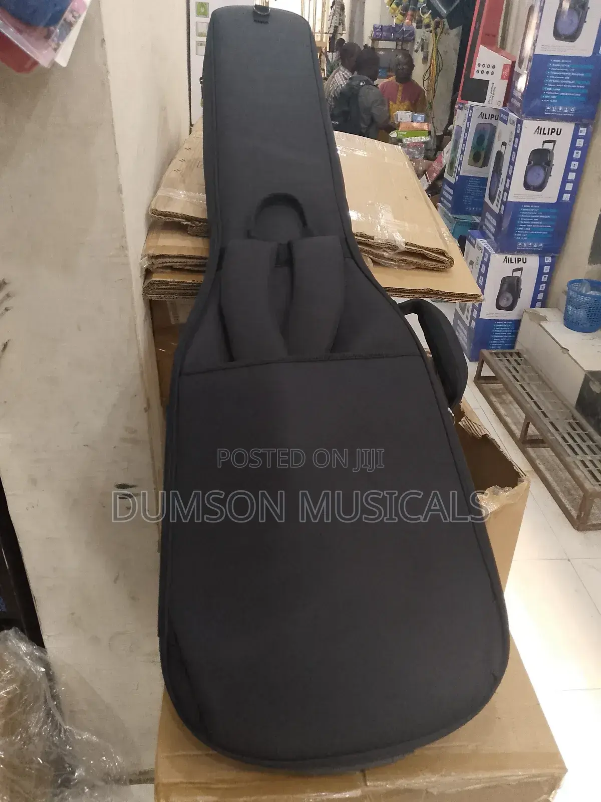 Professional Guitar Bags