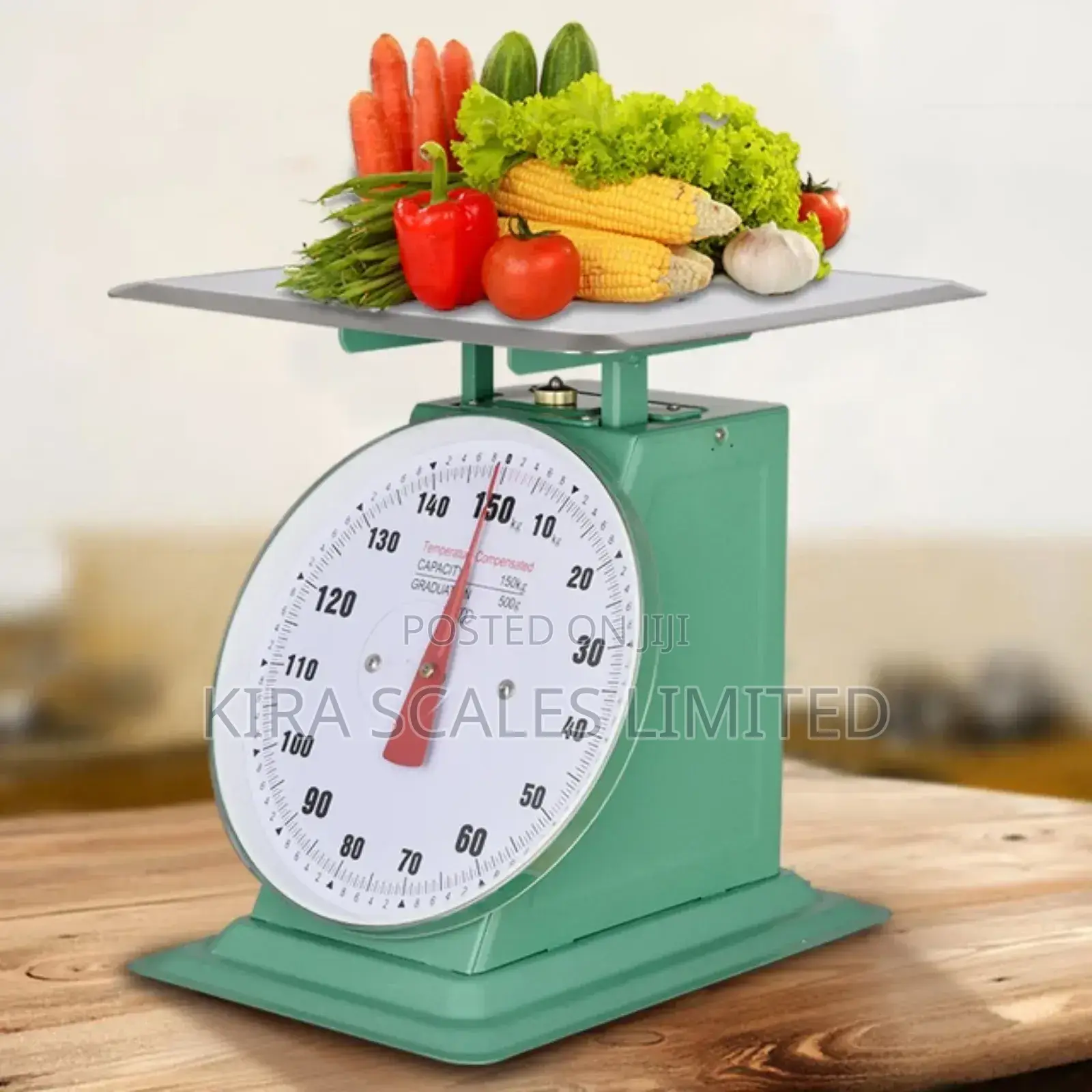 Quality Spring Dial Scale -100kg