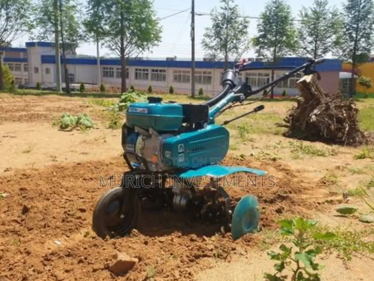 6.5hp Total Gasoline Tiller 196cc (Tgc5001)