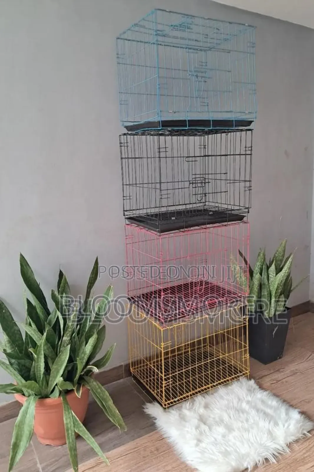 Collapsible Dog Cage in Lagos Size 2