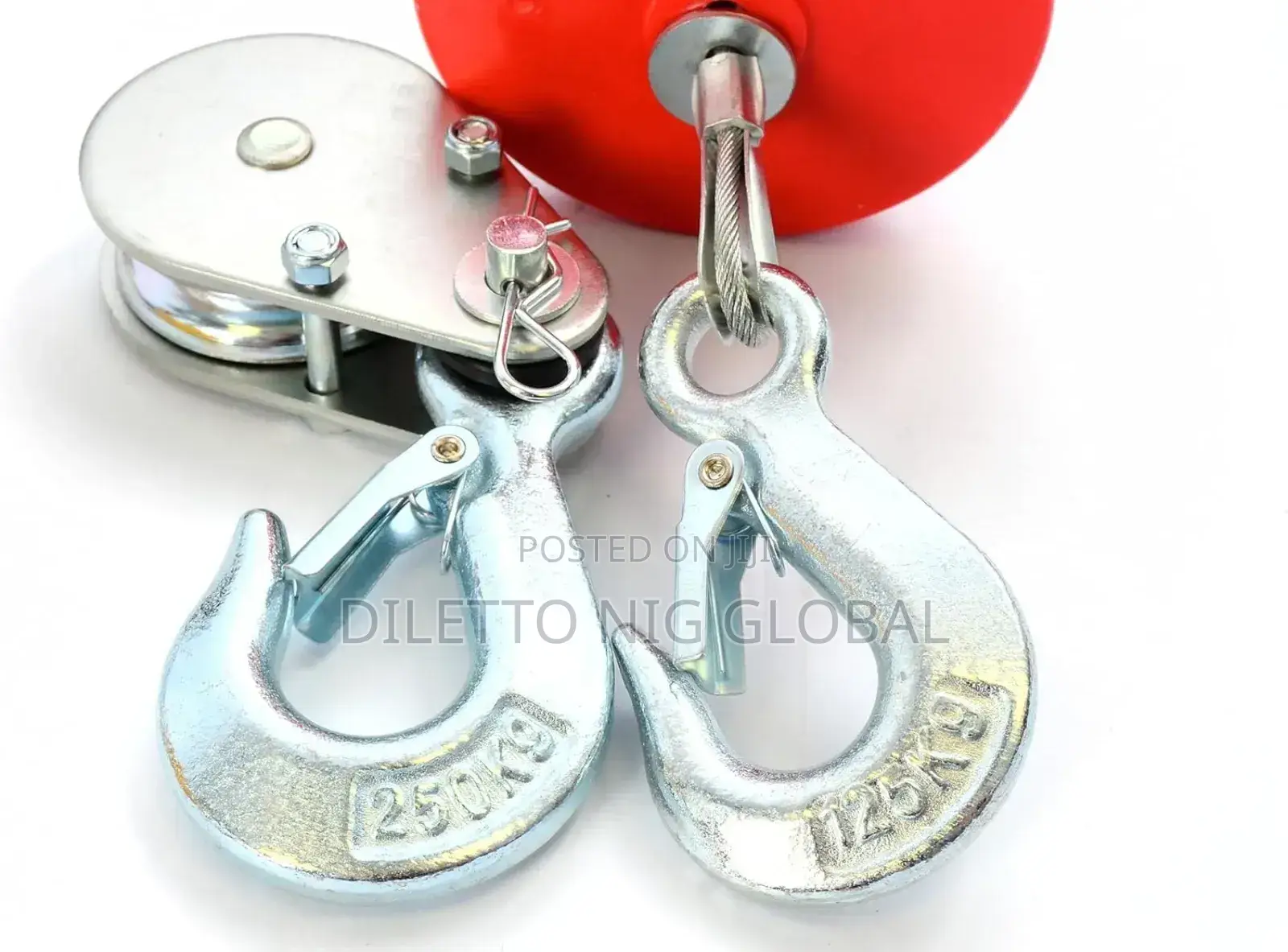 Electric Hoist, 250 Kg