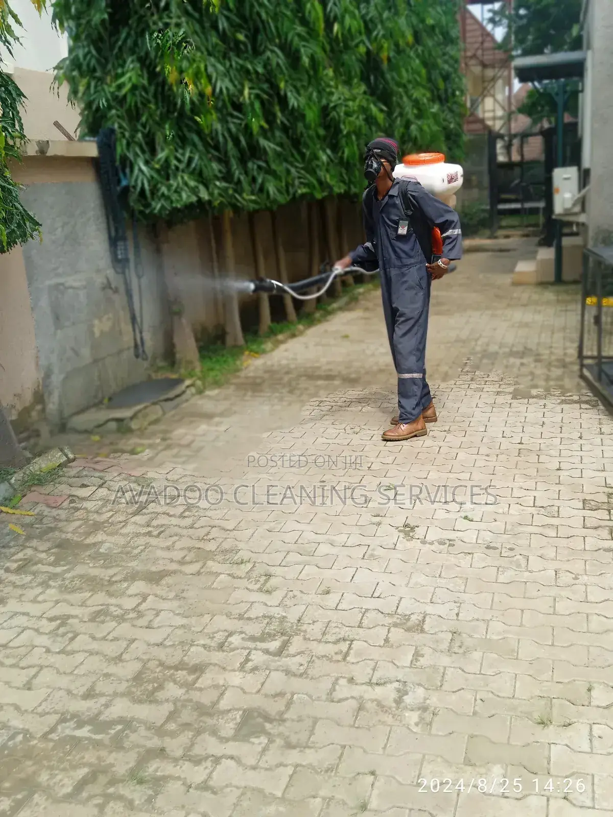 Abuja Fumigation Services _Your Partner in Pest Control